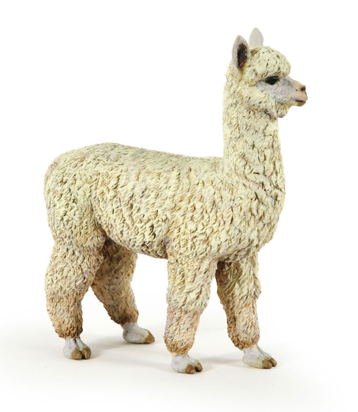 PAPO - ALPAGA #50250