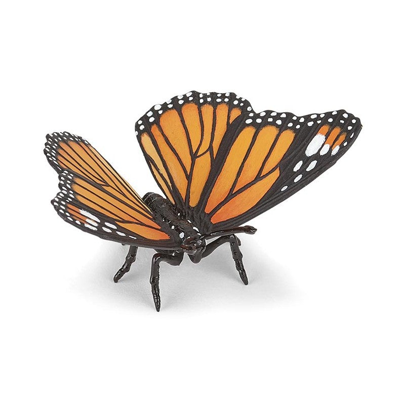 PAPO - PAPILLON MONARQUE #50260