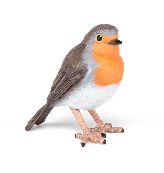 PAPO - ROBIN #50275