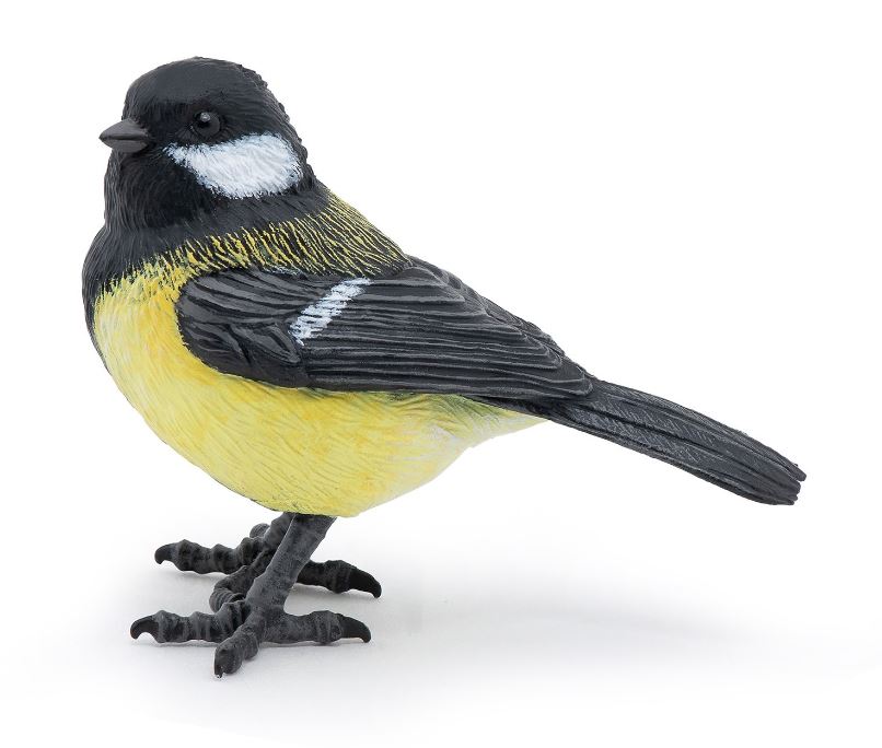PAPO - MÉSANGE #50287