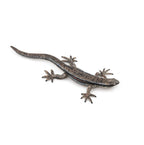 PAPO - LÉZARD COMMUN #50300