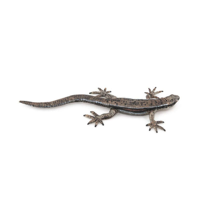 PAPO - LÉZARD COMMUN #50300