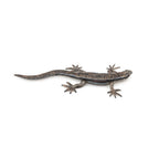 PAPO - LÉZARD COMMUN #50300