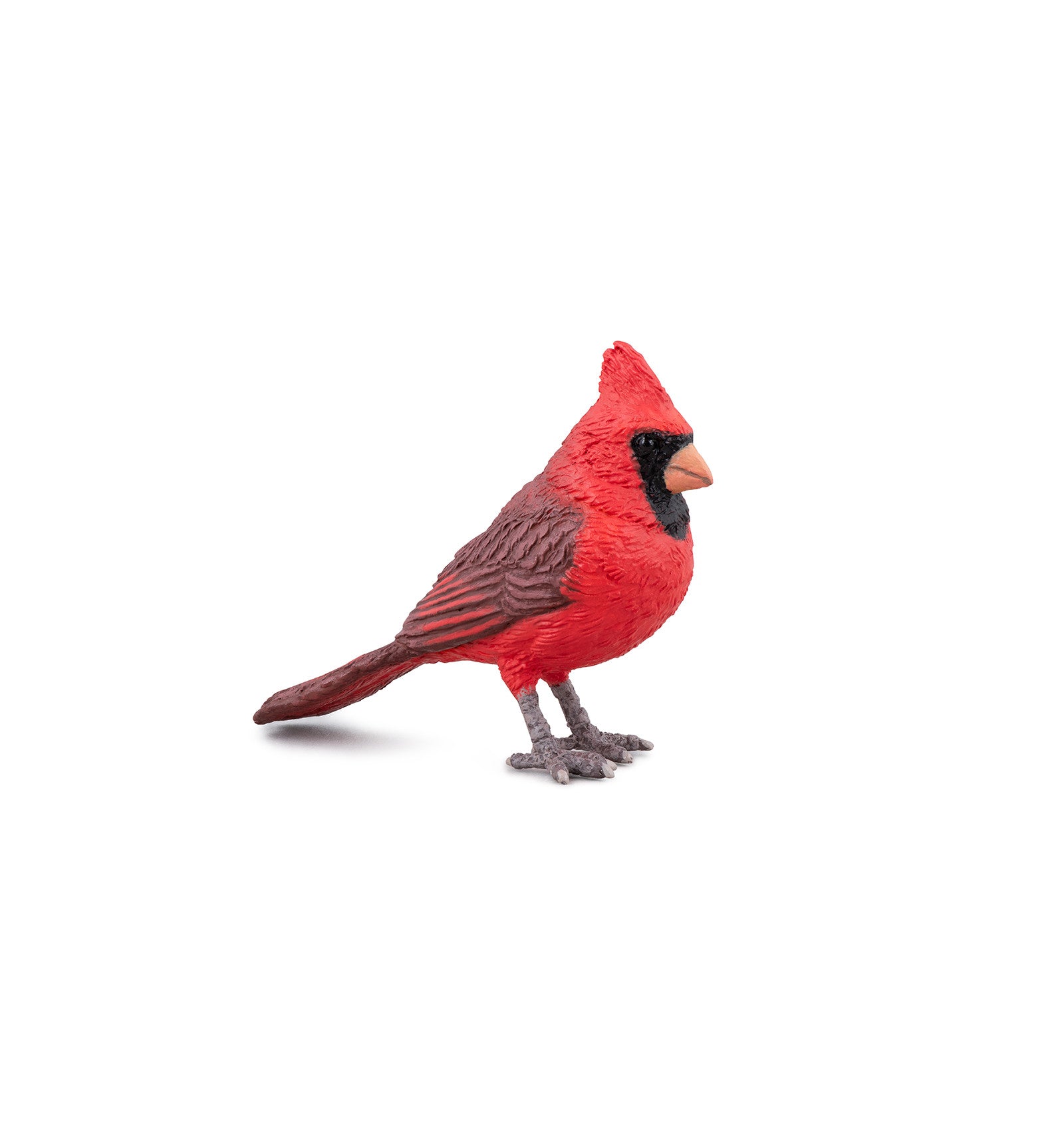 PAPO - CARDINAL ROUGE #50322