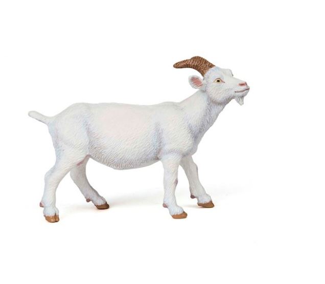 PAPO - CHÈVRE BLANCHE #51144
