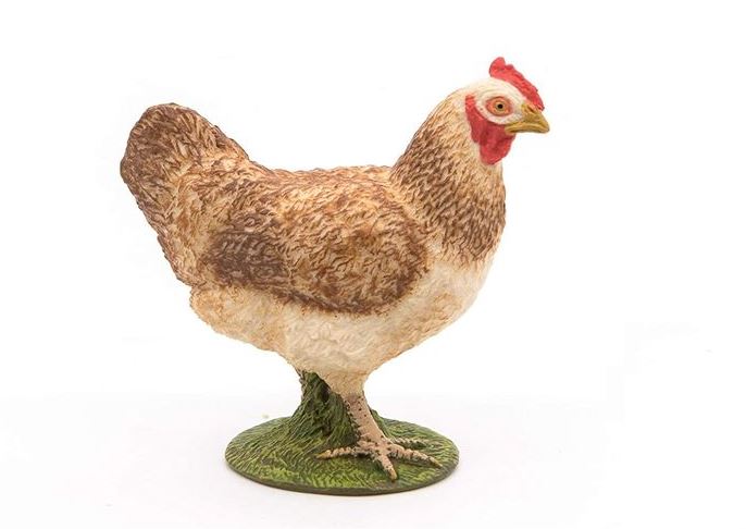 PAPO - POULE ROUSSE #51159