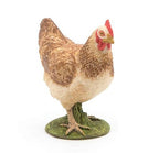 PAPO - POULE ROUSSE #51159