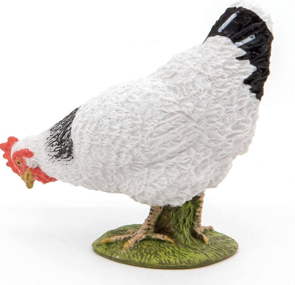 PAPO - POULE BLANCHE PICORANT #51160