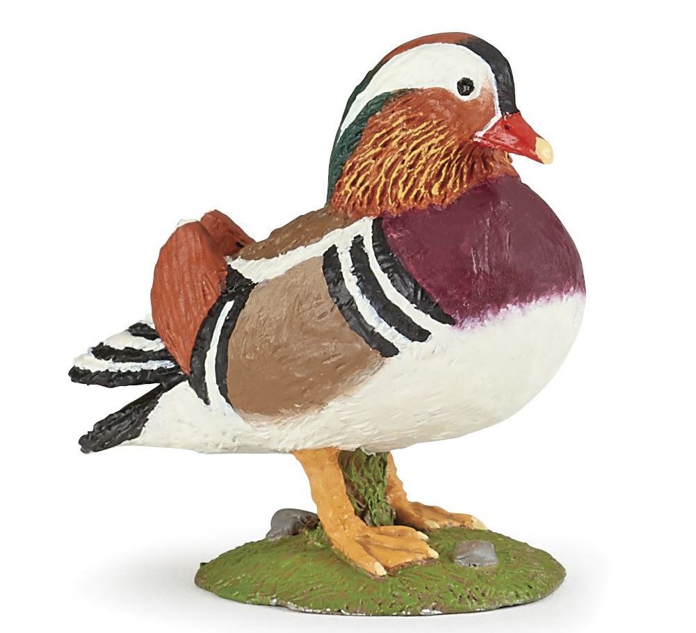 PAPO - CANARD MANDARIN #51166