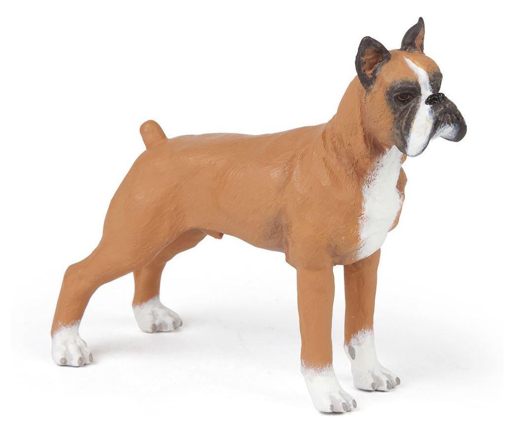 PAPO - BOXER #54019