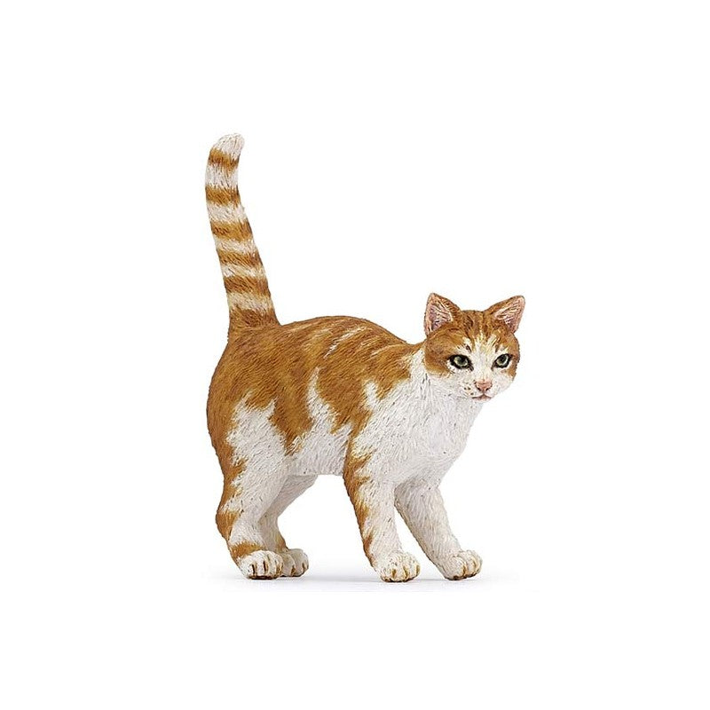 PAPO - CHAT ROUX #54031