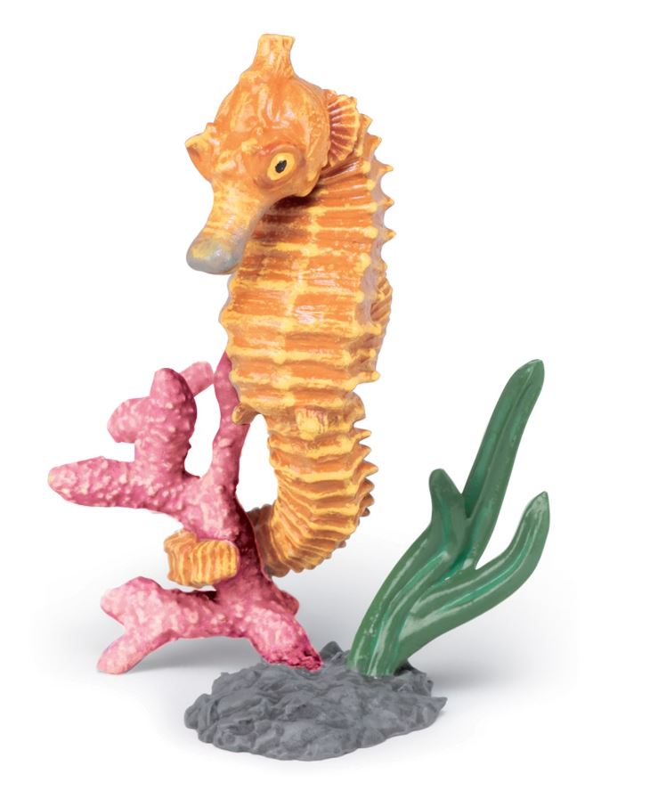 PAPO - HIPPOCAMPE #56051