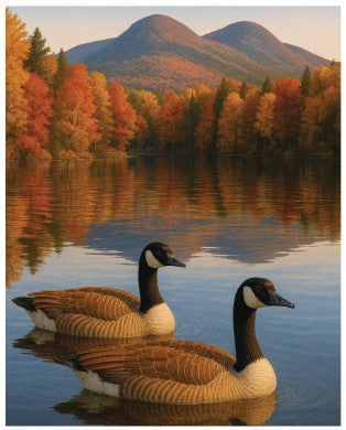 CANADA GOOSE PRINTED MICROVISION THROW 48X60