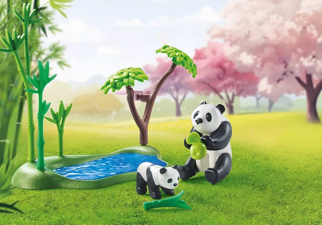 PLAYMOBIL MY LIFE - JARDIN ASIATIQUE ET PANDAS #71762