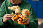 LEGO POKÉMON - ARCANINE #72160