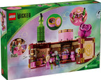 LEGO WICKED - LE DORTOIR DE GLINDA ET ELPHABA #75683