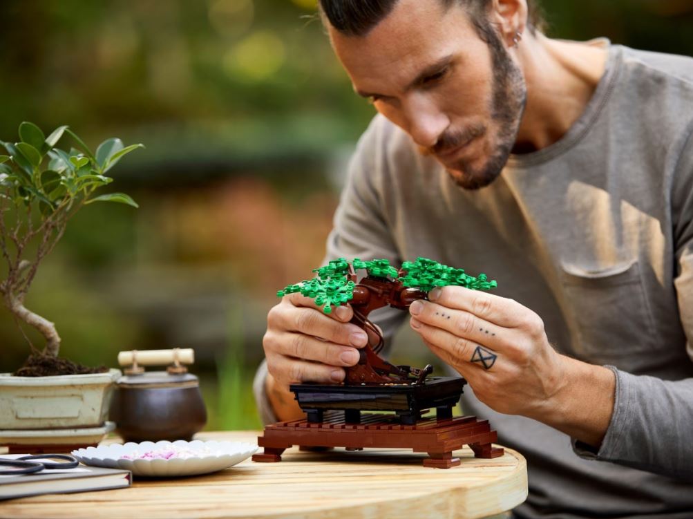 LEGO BOTANICALS - BONSAÏ #10281