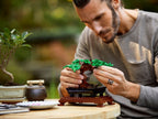 LEGO BOTANICALS - BONSAÏ #10281