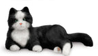 CHAT DE COMPAGNIE INTERACTIF - BLANC ET NOIR