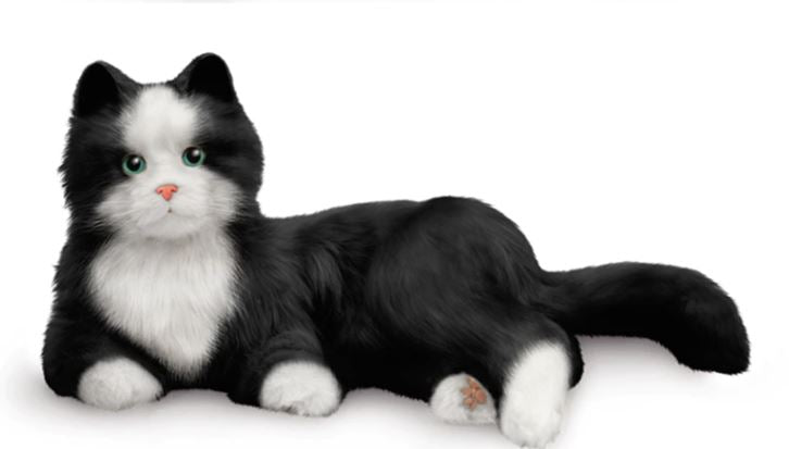 CHAT DE COMPAGNIE INTERACTIF - BLANC ET NOIR