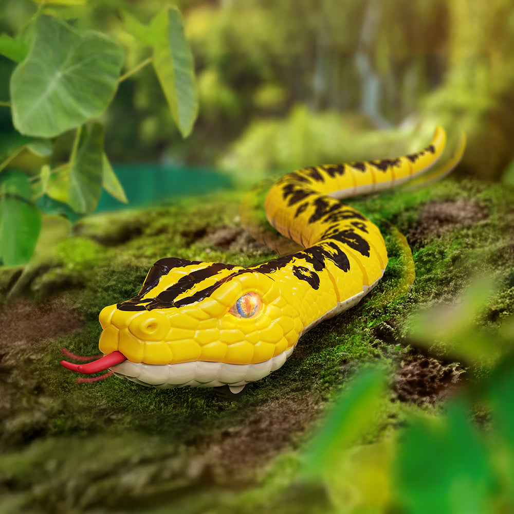 TERRA - SERPENT TÉLÉGUIDÉ ANACONDA