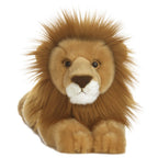 GRAND LION MIYONI