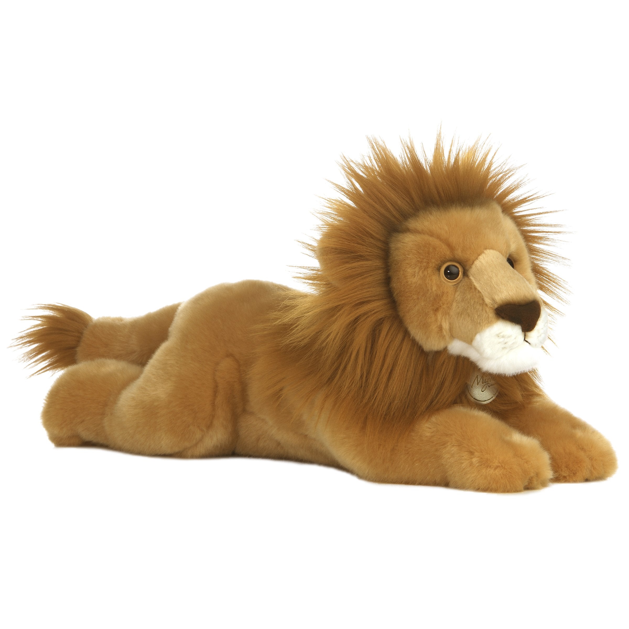 GRAND LION MIYONI