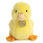PELUCHE AURORA - PETIT CANETON 7,5''