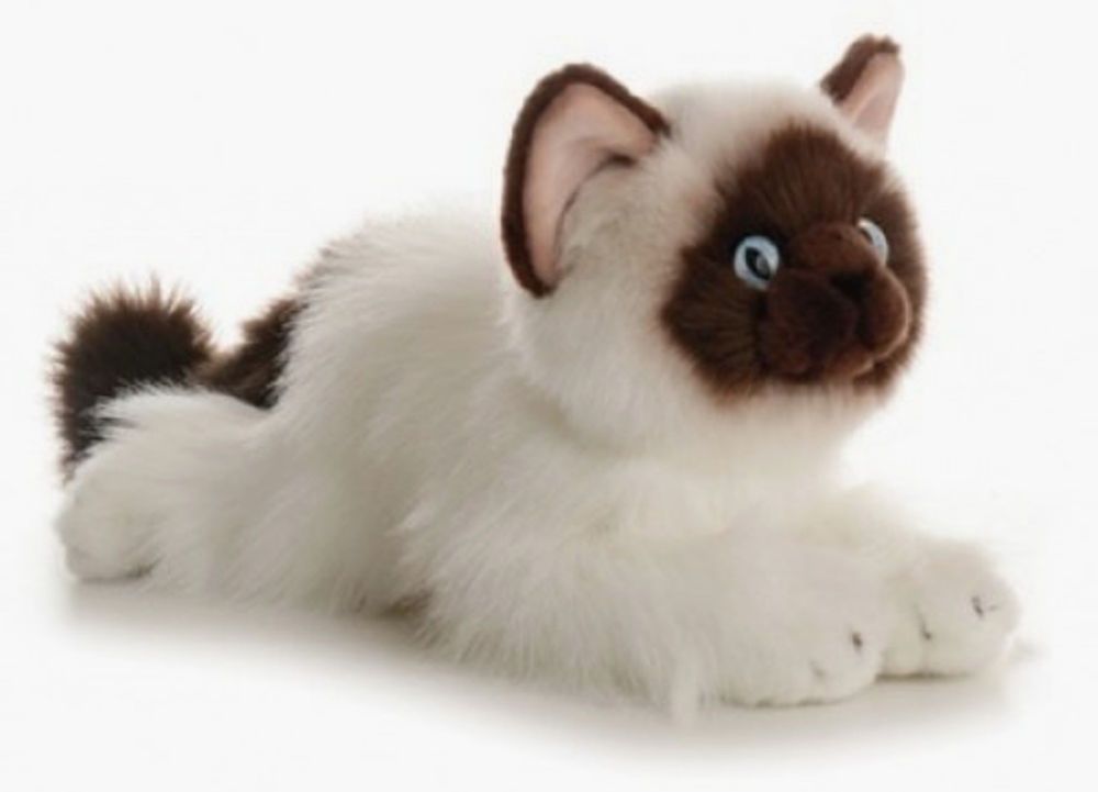 PELUCHE AURORA - CHAT PERSAN BELLA 12"