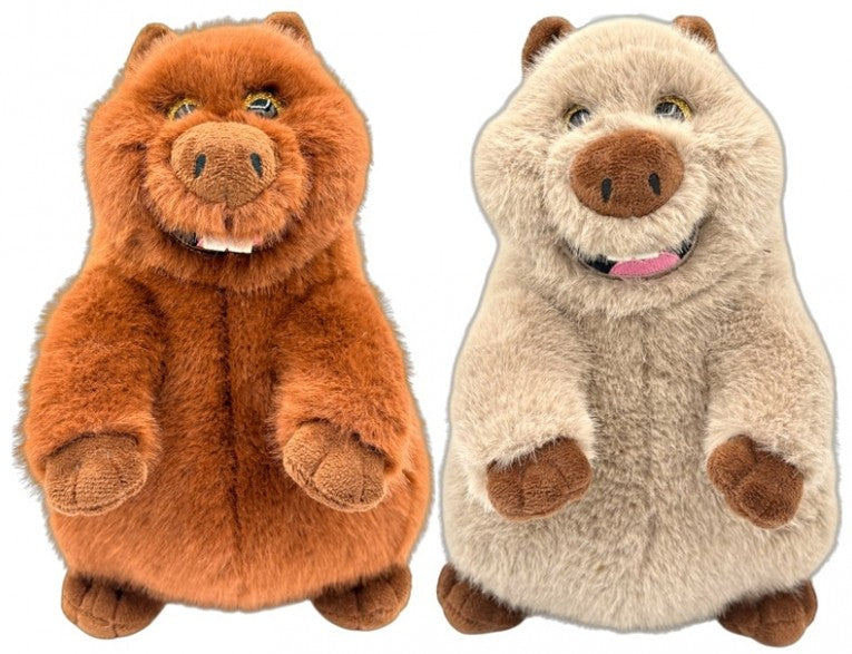 PELUCHE - CASTOR BARRY ASST 50.8 CM (20")