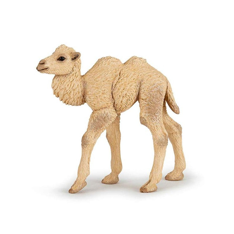PAPO - BABY CAMEL #50221