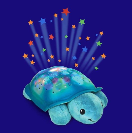 TORTUE SCINTILLANTE AQUA