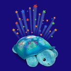 TORTUE SCINTILLANTE AQUA
