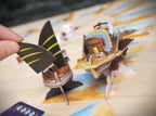 JEU CELESTIA DUO