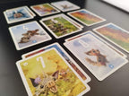JEU PIXIES (FR-EN)