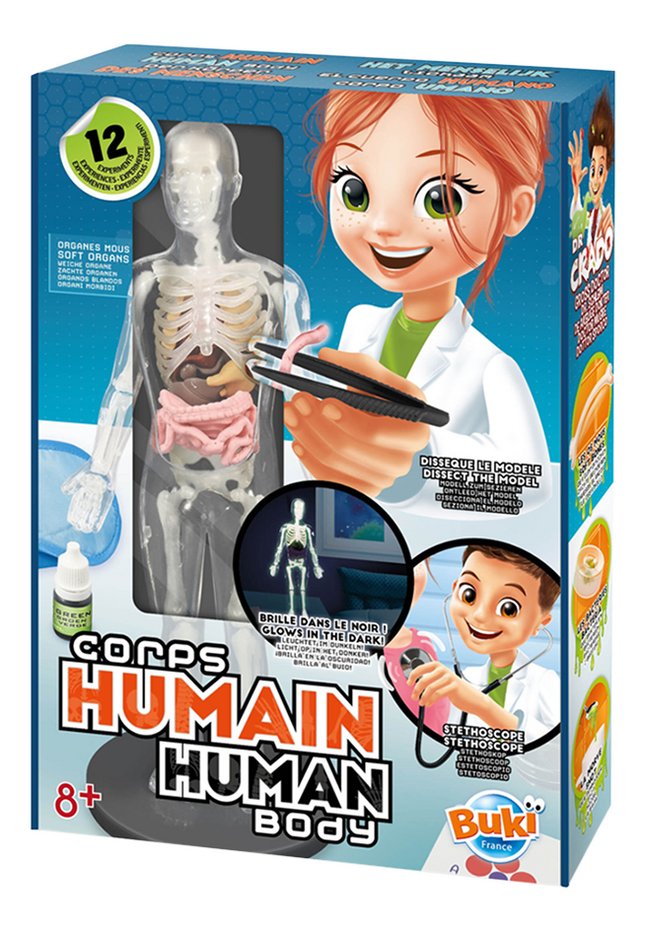 BUKI - HUMAN BODY - TOP 10
