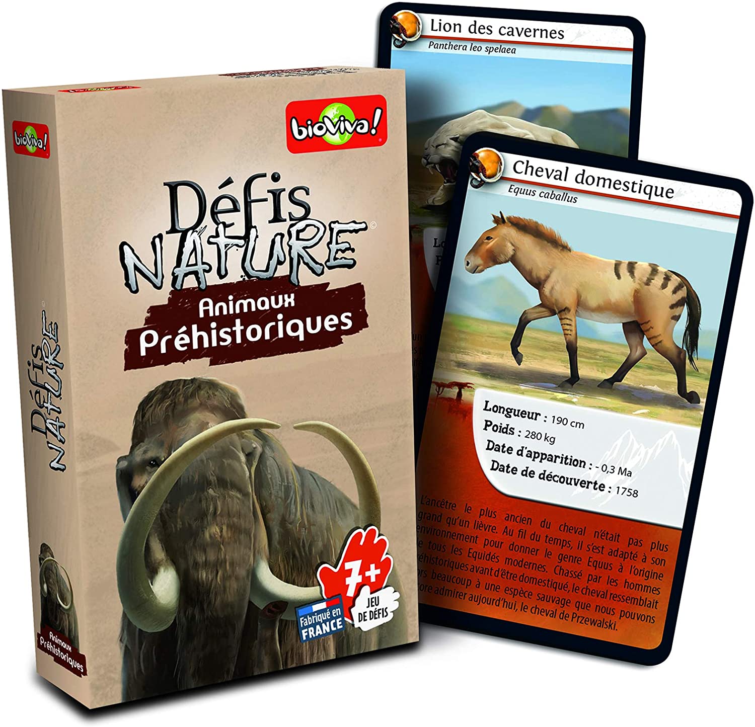JEU DÉFIS - NATURE ANIMAUX PRÉHISTORIQUES