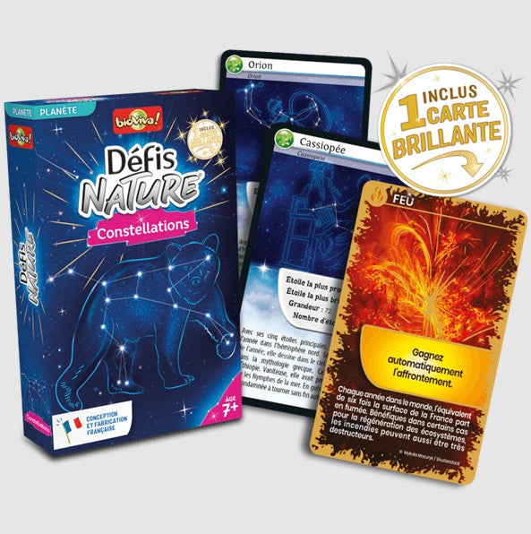 NATURE CHALLENGES GAME - CONSTELLATIONS (EN)