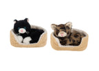 PELUCHE - CHATONS SNUGGLE'N SNOOZE DANS UN PANIER 17,78 (7") ASST