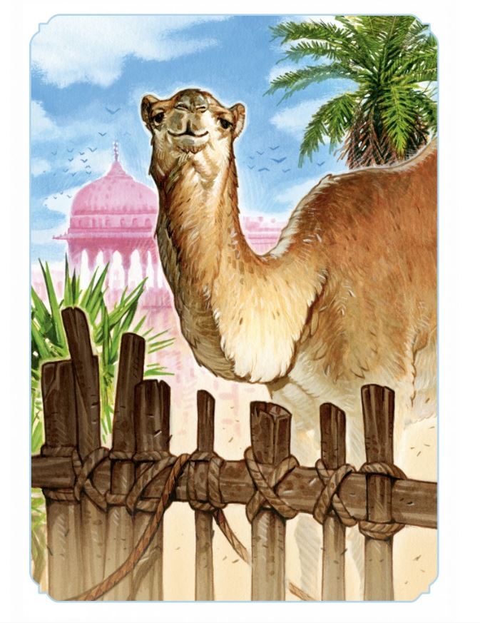 JEU JAIPUR