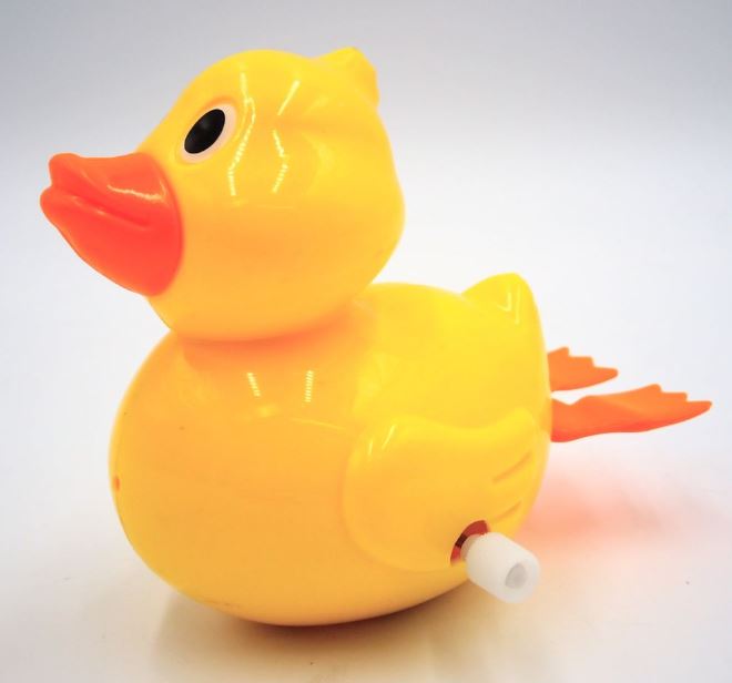 CANARD À REMONTOIR