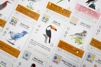 JEU WINGSPAN - EXTENSION AMÉRIQUES