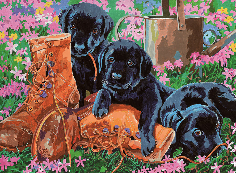 PAINT BY NUMBER JUNIOR LARGE - GARDEN TROUBLE