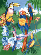 JUNIOR PAINT BY NUMBERS - TROPICAL BIRDS