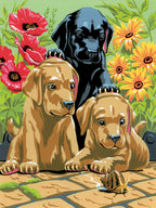 PAINT BY NUMBERS JUNIOR SMALL - LABRADOR PUPPIES
