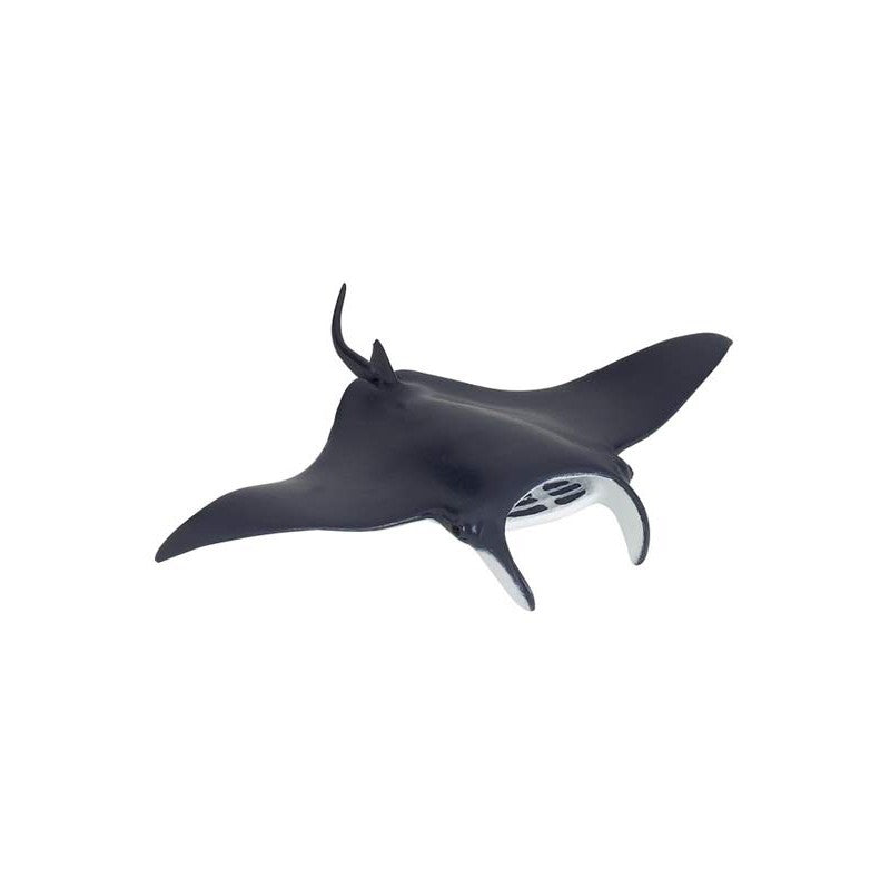 PAPO - RAIE MANTA #56006