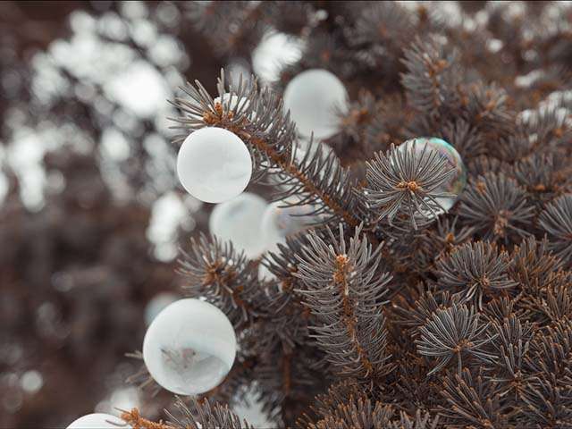 CRAZY ICE BUBBLES - BULLES D'HIVER