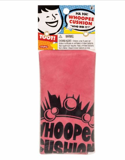 COUSSIN À PET (PÉTEUR) ASST