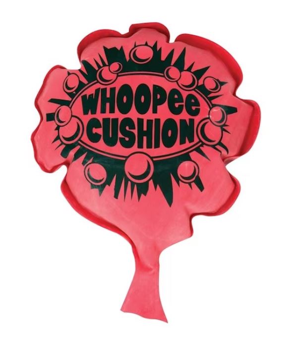 COUSSIN À PET (PÉTEUR) ASST
