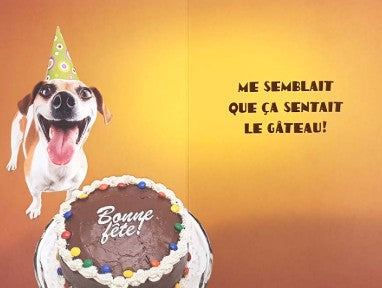 ANNIVERSAIRE - CARTE HUMORISTIQUE "C'EST TA FÊTE" - DE ROSEDALE